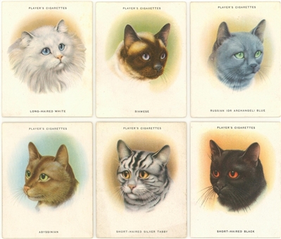 1936 John Player & Sons "Cats" Complete Set (24)